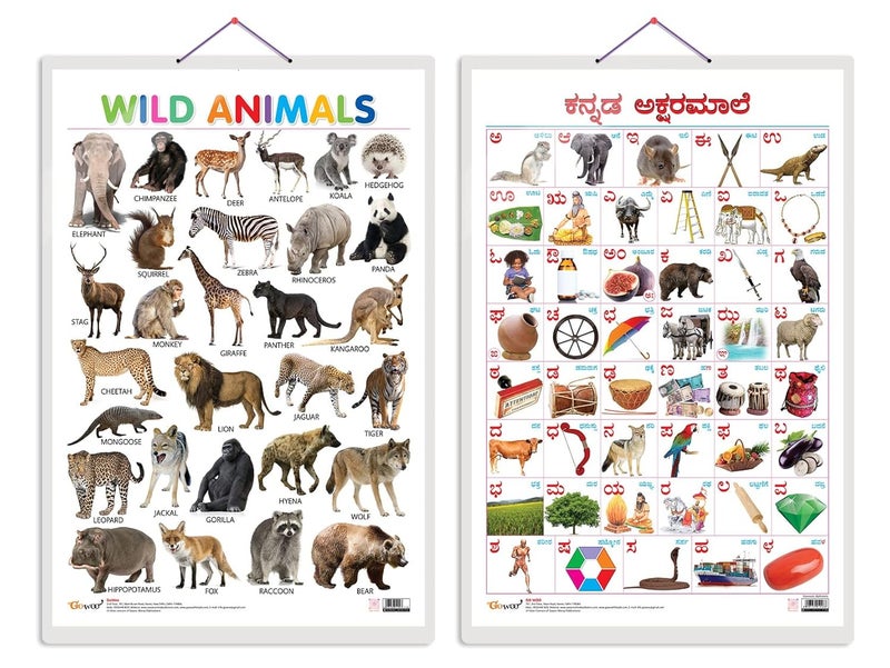 GoWoo Set of 2 Wild Animals and Kannada Alphabet Early Learning Educational Charts for Kids | 20"X30" inch |Non-Tearable and Waterproof | Double Sided ... Kindergarten and Nursery Students - Image 1
