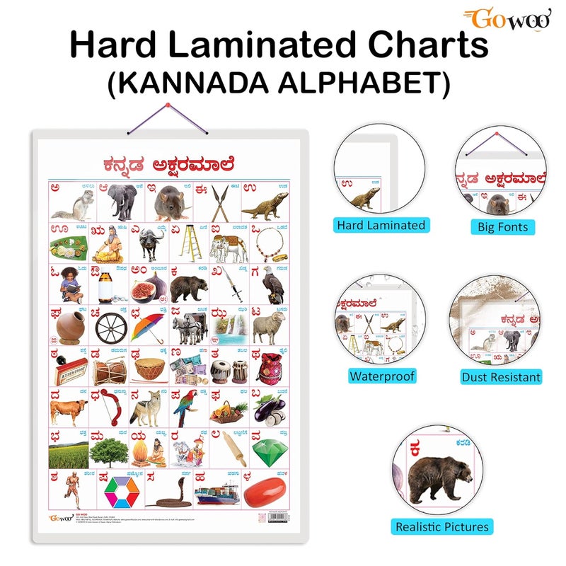 GoWoo Set of 2 Wild Animals and Kannada Alphabet Early Learning Educational Charts for Kids | 20"X30" inch |Non-Tearable and Waterproof | Double Sided ... Kindergarten and Nursery Students - Image 2