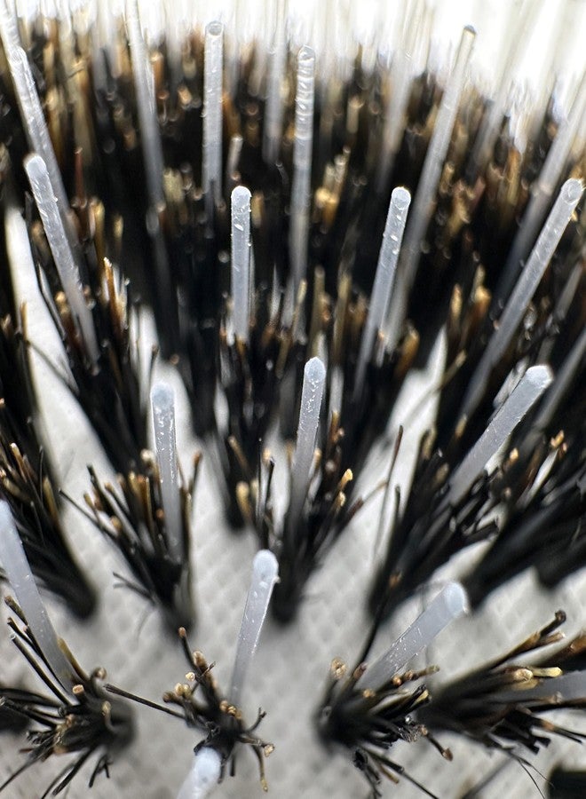 Phillips Brush Imperial Black Oval Cushion Boar Hair Bristles Reinforced by Nylon, Anti-Static Anti-Frizz - Image 5