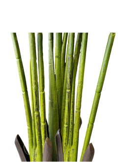 Garden Oasis Landscaping Artificial bird of paradise plant artificial banana tree/travelers palm Home Décor 160CM  - Image 2