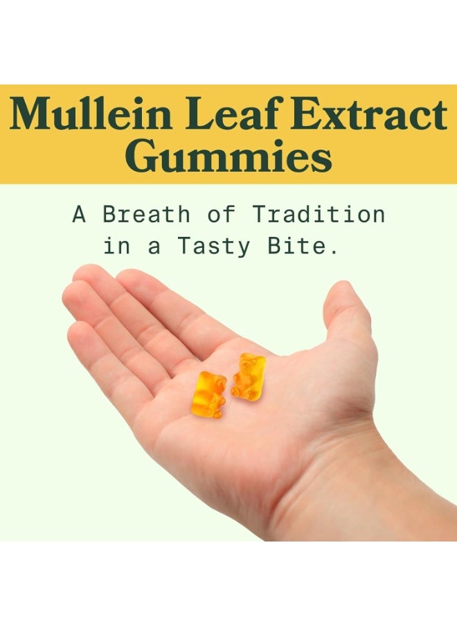 Mullein Leaf Extract Gummies For Lung Cleanse Vegan Mullein Gummies For Lung With Quercetin & Bromelain Vitamin D3 For Calm & Gut Health Chewable Herbal Supplements 60 Counts