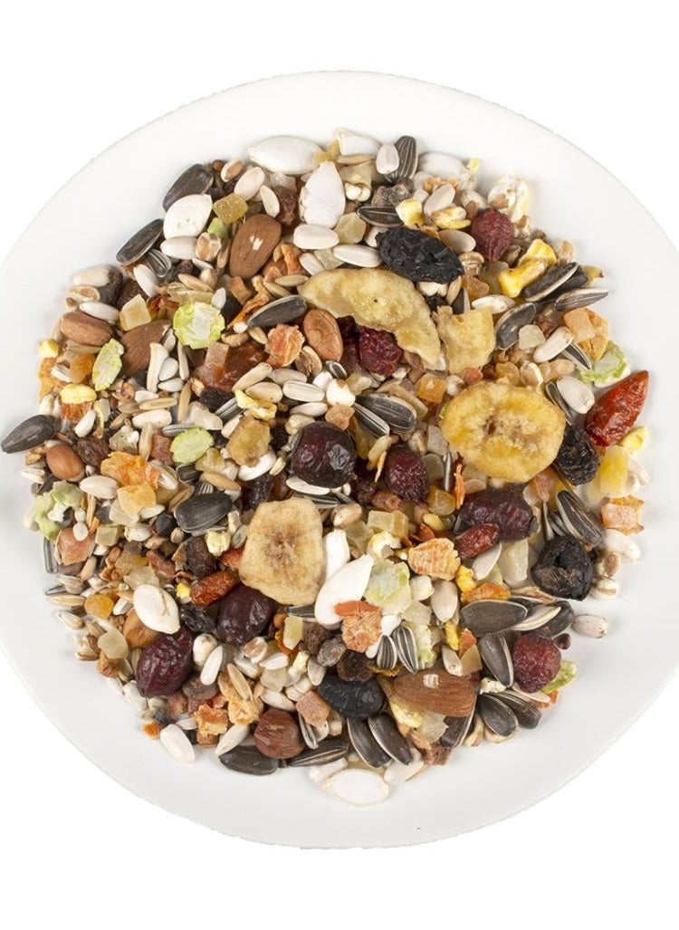 Nut Snack for Parrots 750g– Premium Blend of Nuts, Seeds & Dried Fruits, Healthy & Nutritious Treat for Cockatiels, Parrots & Exotic Birds - pzsku/ZA982EE4C0F9CA6E1310BZ/45/1741146080/0fe9e82e-ce7c-4e0b-b1ae-4cfd72f0b32a