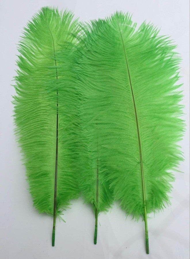 Shekyeon Lime Green 10-12inch 25-30cm Ostrich Feather Home Decoration DIY Craft Pack of 10 - Image 2