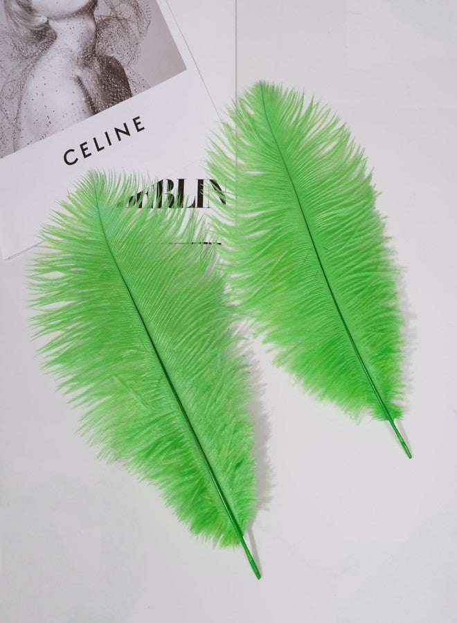 Shekyeon Lime Green 10-12inch 25-30cm Ostrich Feather Home Decoration DIY Craft Pack of 10 - Image 5