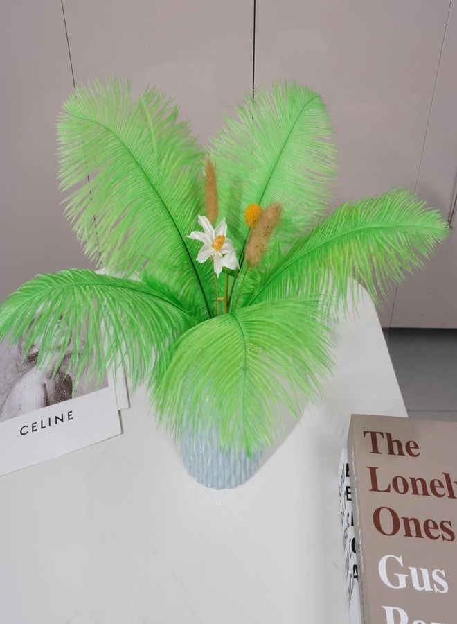 Shekyeon Lime Green 10-12inch 25-30cm Ostrich Feather Home Decoration DIY Craft Pack of 10 - Image 4
