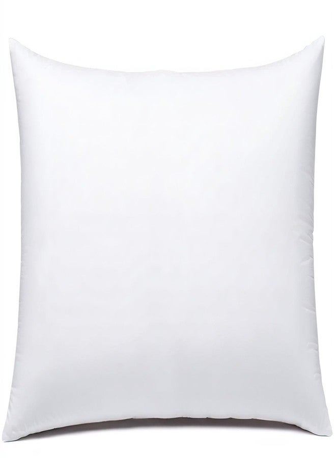 JIEITIVE Throw Pillow Inserts Hypoallergenic Premium Pillow Stuffer Rectangle Lumbar Pillow for Decorative Pillow Covers Cushion Set of 1-12 x 20 Inches - Image 1