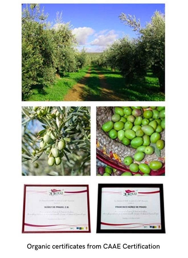DHC - Olive Virgin Oil 30ml - Image 1