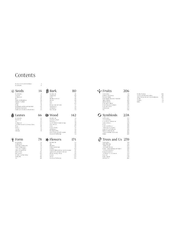 الأشجار: من الجذر إلى الورقة - Image 2