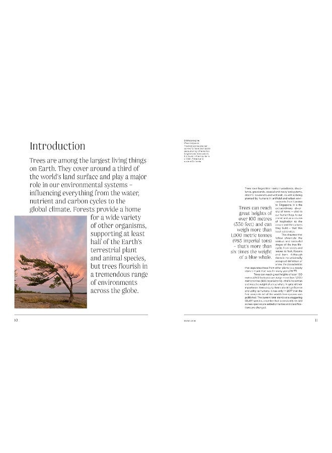 الأشجار: من الجذر إلى الورقة - Image 3