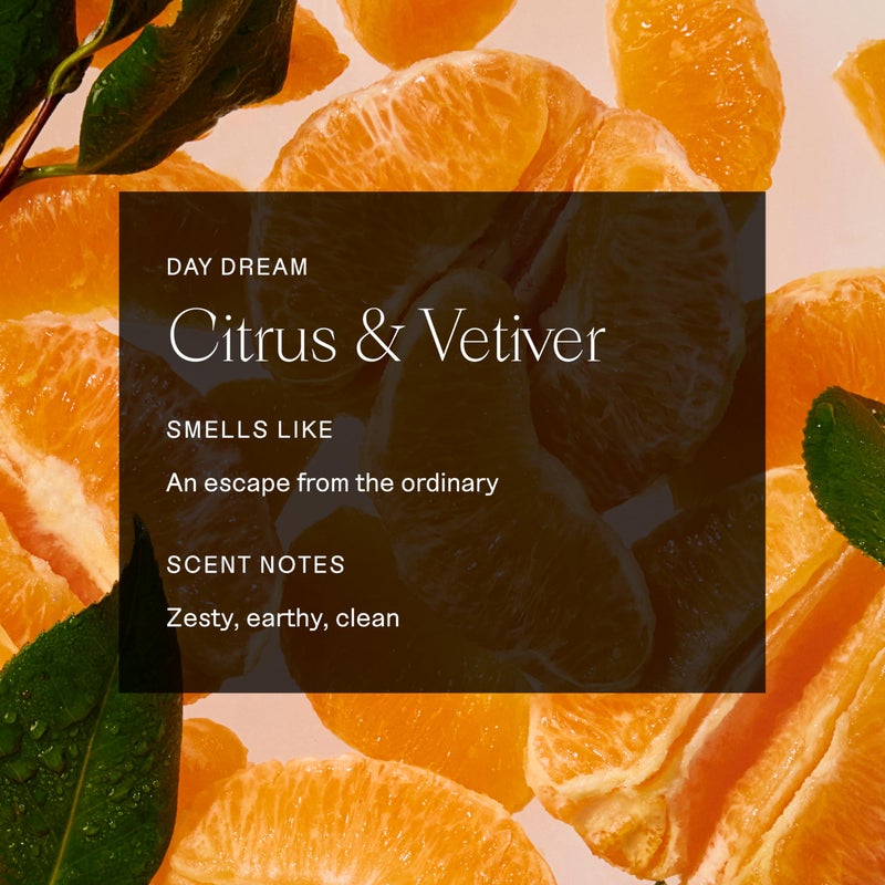 Each & Every Aluminum Free Deodorant for Women & Men, Citrus & Vetiver - All Natural Deodorant for Sensitive Skin, EWG Verified - Clean, Baking Soda-Free, Plant-Based Fragrance - 2.5oz, 2 Pack - Image 5