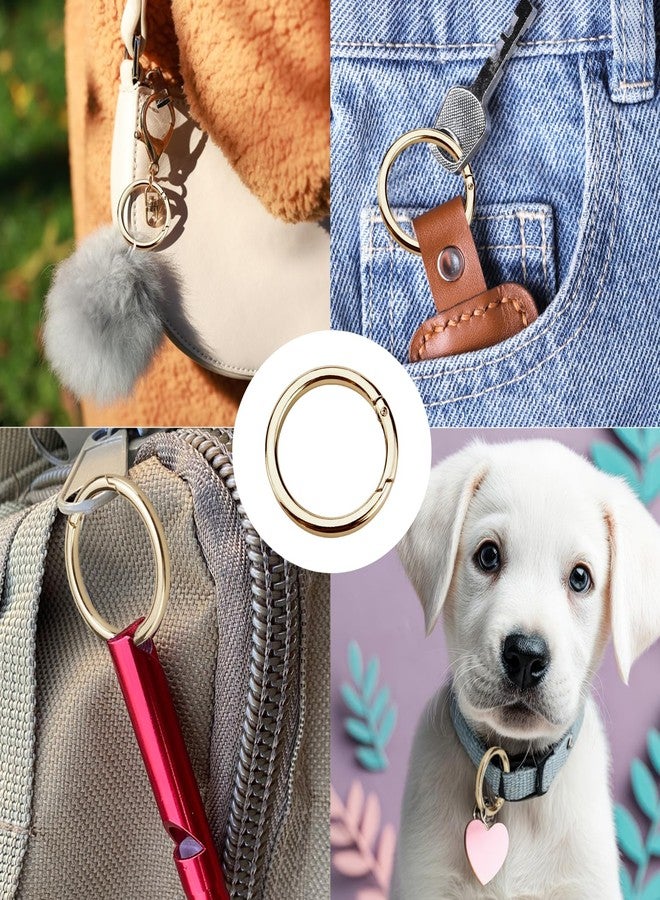 EMYVSVO 5Pcs Gold Metal O Ring Keychain Rings Spring Keyrings Buckle Snap Clip Round Carabiner Clip for Purse Strap, Handbag, Key Chain Hooks Accessoriess(Gold) - Image 5