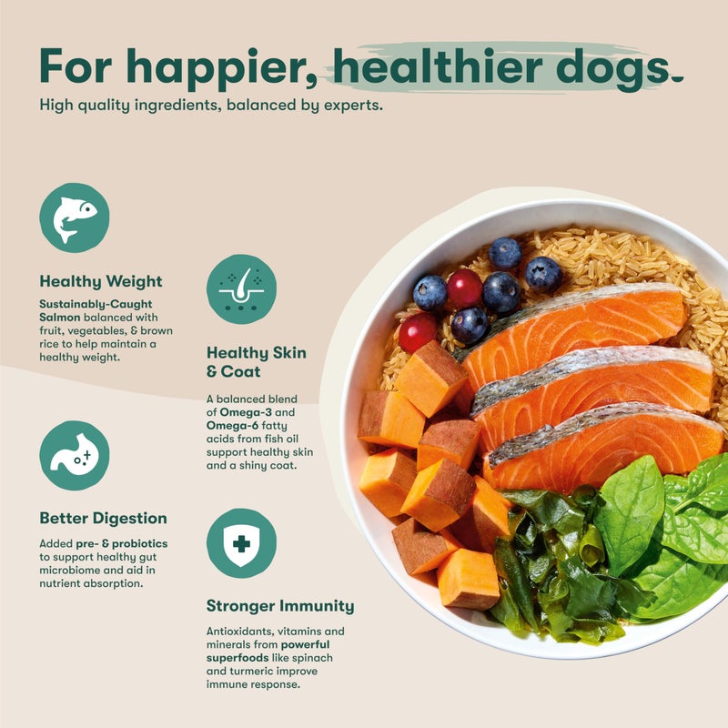 Jinx Premium Dry Dog Food, for All Lifestages - Real Salmon, Brown Rice & Sweet Potato Kibble with Superfoods for Immune Support & Probiotics for Digestive Support - No Fillers - 11.5lb - Image 3