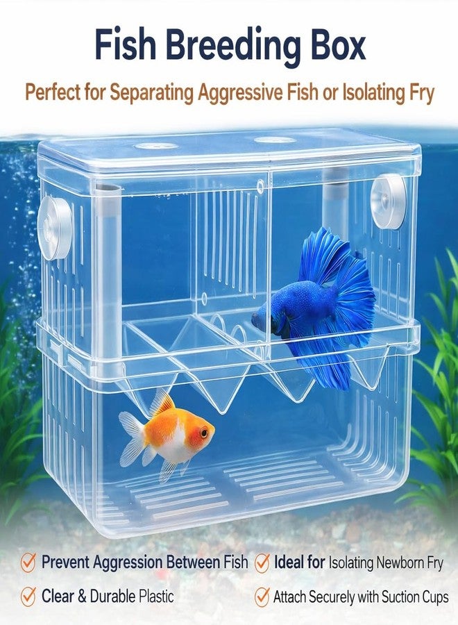 rizopets Aquarium Breeding Box, Double Layer Fish Tank Isolation Box with Divider, Clear Acrylic - Image 3