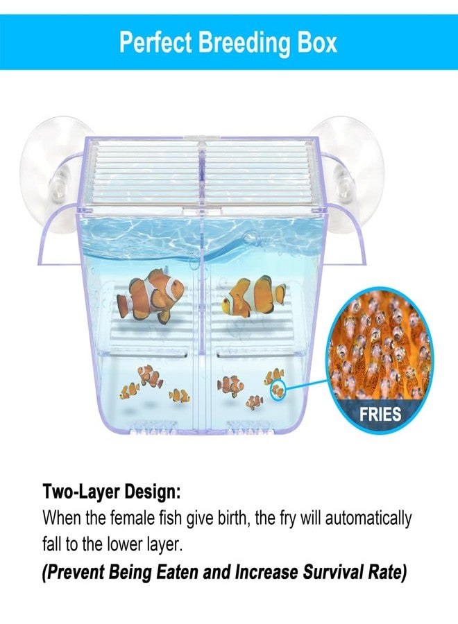 داتو صندوق تربية الأسماك DaToo، حوض أسماك، صندوق عزل شفاف للأسماك، حاضنة تأقلم، مربي أسماك البيتا والروبيان وأسماك المهرج وأسماك الجوبي (مقاس صغير) - Image 3