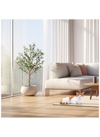 Olive Tree 120cm