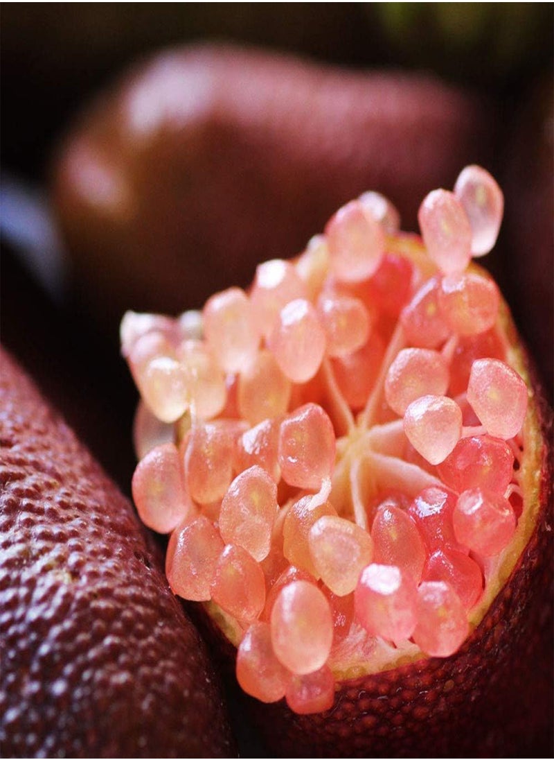 GGOOT - 20Pcs Tropical Fruit Seeds Finger Limes Citrus Pomegranate Seeds Home Garden Balcony Rare Plants - 3 - Image 1