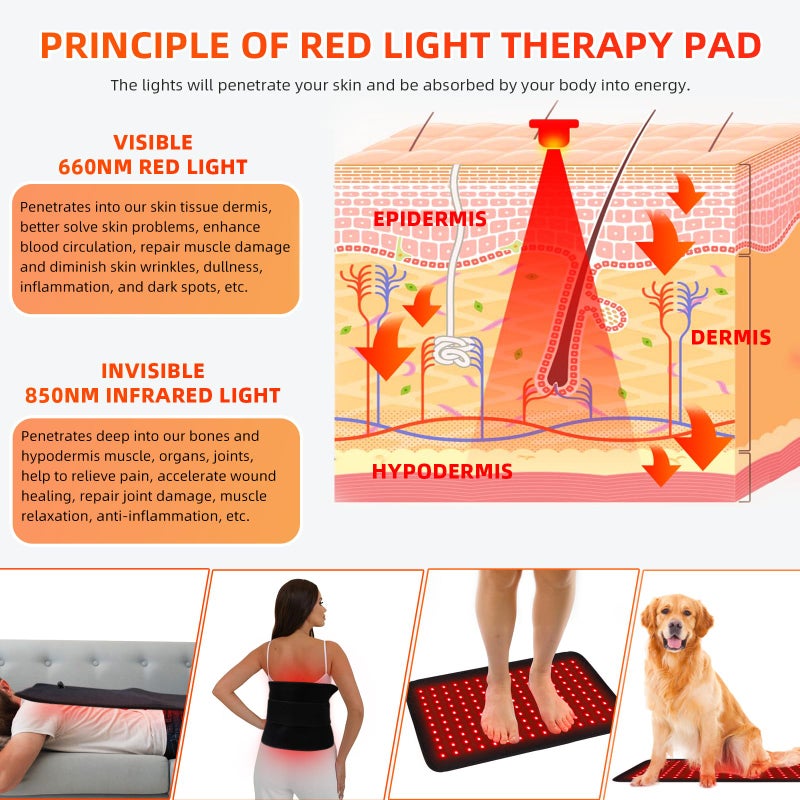 feangli Red Light Therapy for Body Large 19.8" x 12" Infrared Heating Pad Wrap for Back Waist Shoulder Knee Feet Joints Pain Relieve, Diminish Inflammation, Ideal Gift - Image 3