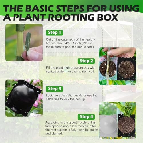 HASTHIP® 6 Pcs Plant Rooting Ball - Plant Root Grow Box, Reusable Plant Rooting Grow Propagation Ball - Garden Grafting Tools for Indoor/Outdoor Plants - Plastic Plant Propagation Ball (3 Size/S M L) - Image 4