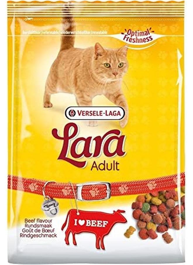 Lara Adult Dry Food For Cat Salmon 350G - pzsku/ZA98F5E514BC99EF20E3CZ/45/_/1722832532/c0184d43-7ecb-4a42-a81f-26b083a7cffc