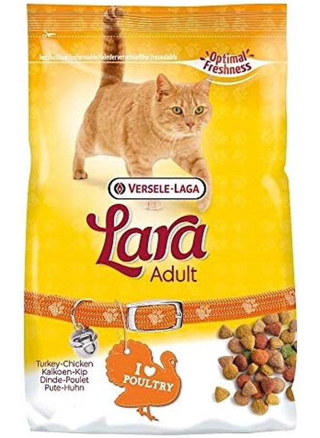 Lara Adult Dry Food For Cat Salmon 350G - pzsku/ZA98F5E514BC99EF20E3CZ/45/_/1722832534/2d30a263-5c61-4f11-822f-bc823fcc0b50