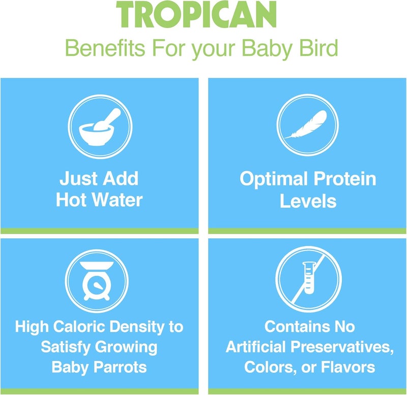 Hari Hagen Tropican Hand Feeding Parrot Food, 4.4 lb Baby Bird Food for Optimal Growth - Image 5
