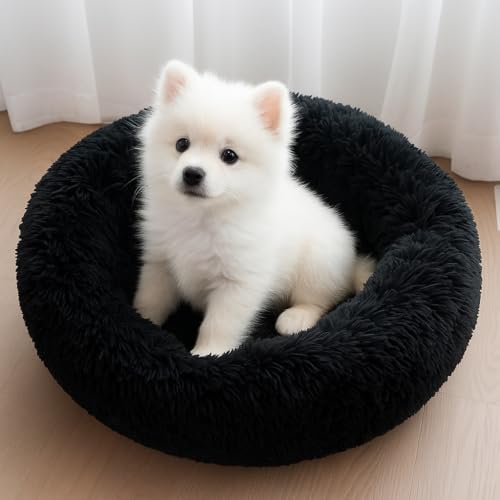 ZEXSAZONE Summer Round Doughnut Pet Bed for Cats and Puppies Dogs mat, Cozy and Plush, Raised Bedside Support, Both Sides Use Like 2 in One, Washable, Best for Small Pets, Puppey, Cats - 50x50x12 CM - Image 1