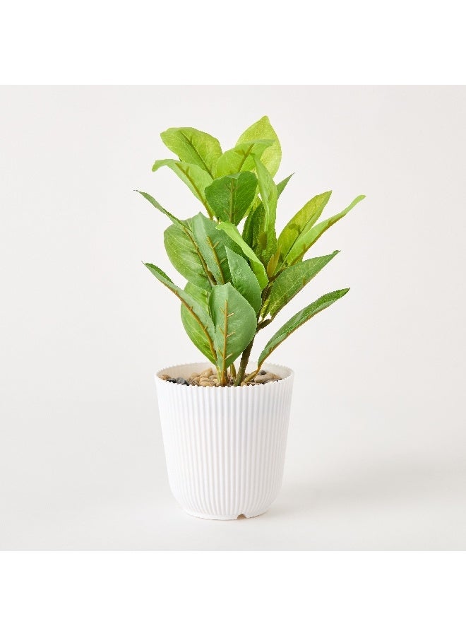 Home Box Ceilo Anthurium Leaf Potted Plant 12 x 12 x 25 cm - Image 3