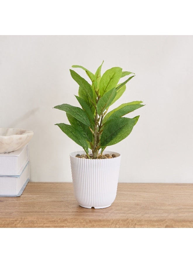 Home Box Ceilo Anthurium Leaf Potted Plant 12 x 12 x 25 cm - Image 2