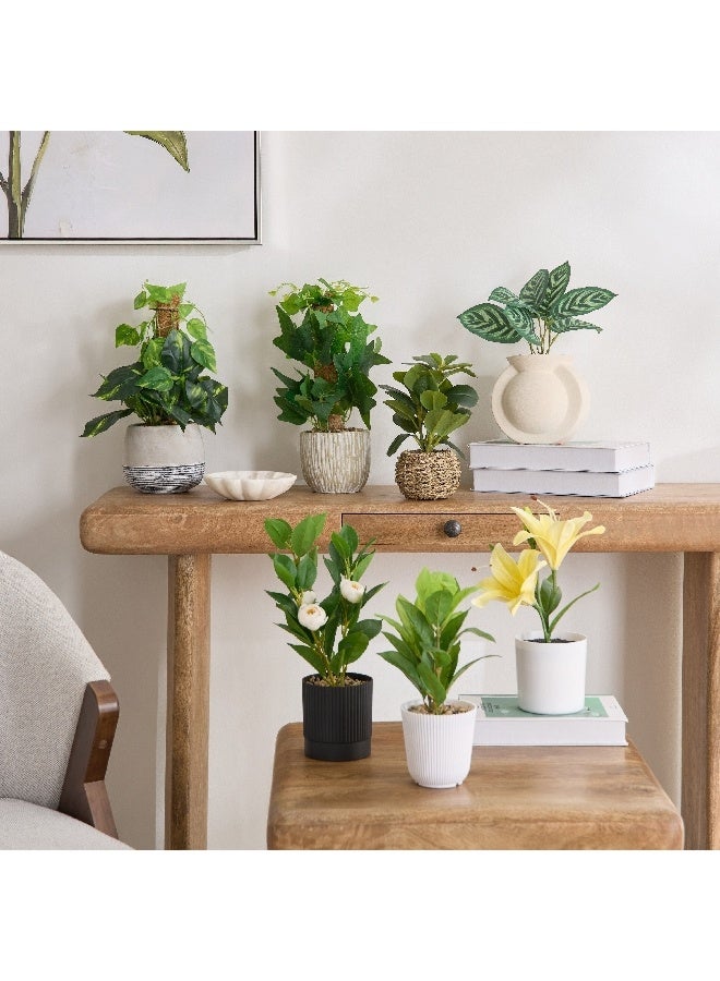 Home Box Ceilo Anthurium Leaf Potted Plant 12 x 12 x 25 cm - Image 4