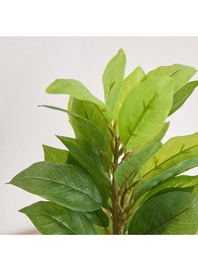 Home Box Ceilo Anthurium Leaf Potted Plant 12 x 12 x 25 cm - Image 1