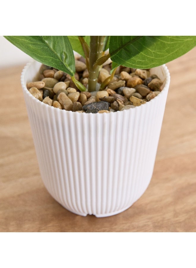 Home Box Ceilo Anthurium Leaf Potted Plant 12 x 12 x 25 cm - Image 5