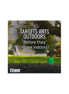 Terro Ant Killer Baits Stakes Outdoor Liquid 8 Traps  Kills Entire colony  - Image 2