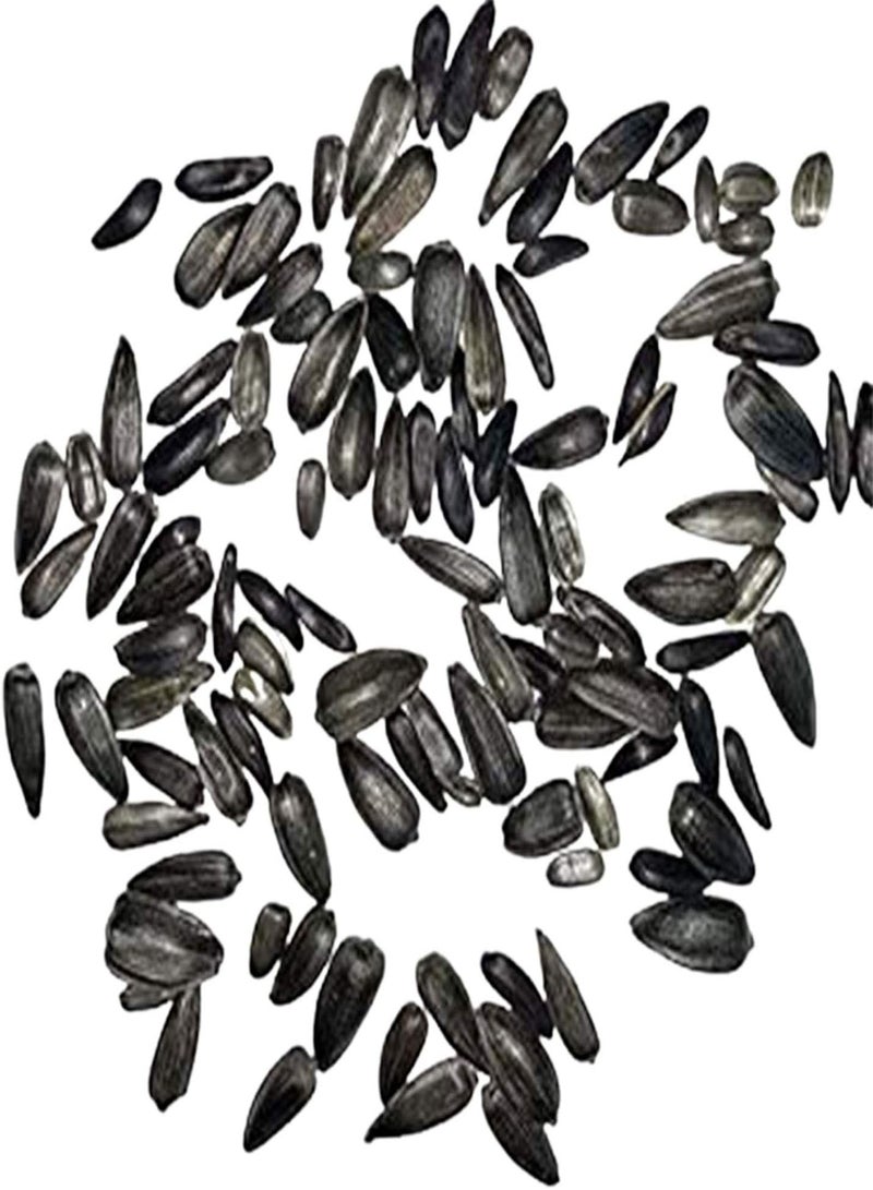 GGOOT 1 Bag Sunflower Seeds Beautiful Flowers Useful Small Easy to Germinate Bonsai Seeds for Gardens Pink Sunflower Seeds - Image 5