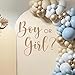 Dvehdbay Boy or Girl Gender Reveal Decal He or She Sign Boy or Girl Baby Gender Party Theme Decorations Baby Gender Sign Gender Reveal Backdrop Backdrop Letters for Arch Decal - Image 3