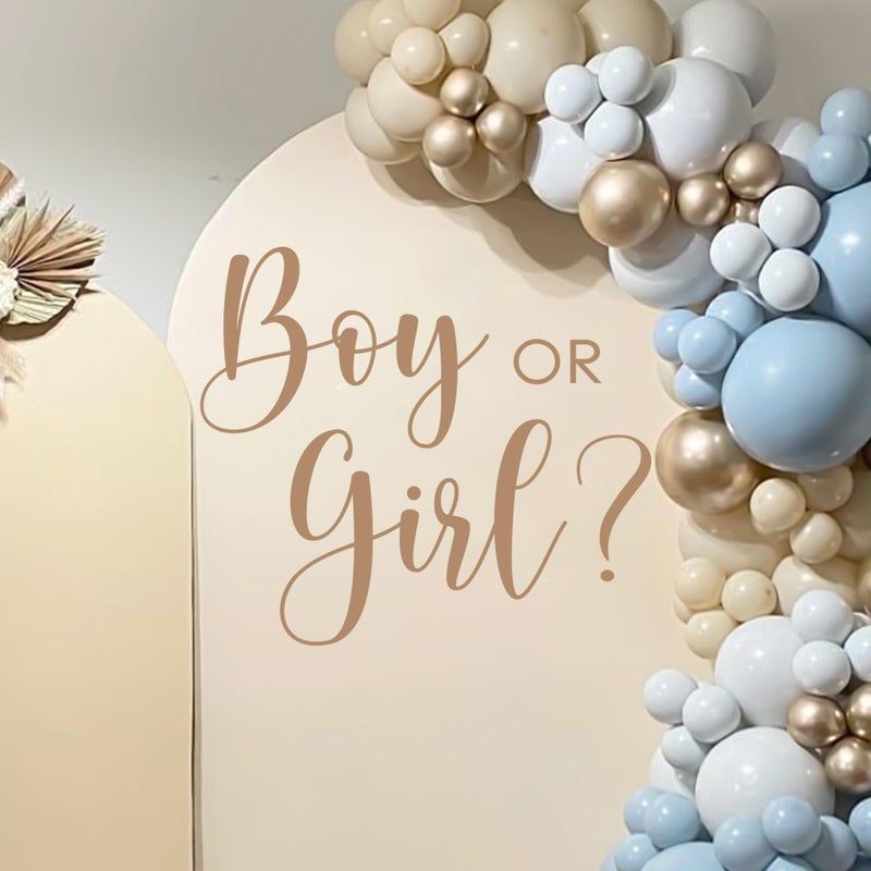 Dvehdbay Boy or Girl Gender Reveal Decal He or She Sign Boy or Girl Baby Gender Party Theme Decorations Baby Gender Sign Gender Reveal Backdrop Backdrop Letters for Arch Decal - Image 2