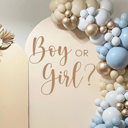 Dvehdbay Boy or Girl Gender Reveal Decal He or She Sign Boy or Girl Baby Gender Party Theme Decorations Baby Gender Sign Gender Reveal Backdrop Backdrop Letters for Arch Decal - Image 1