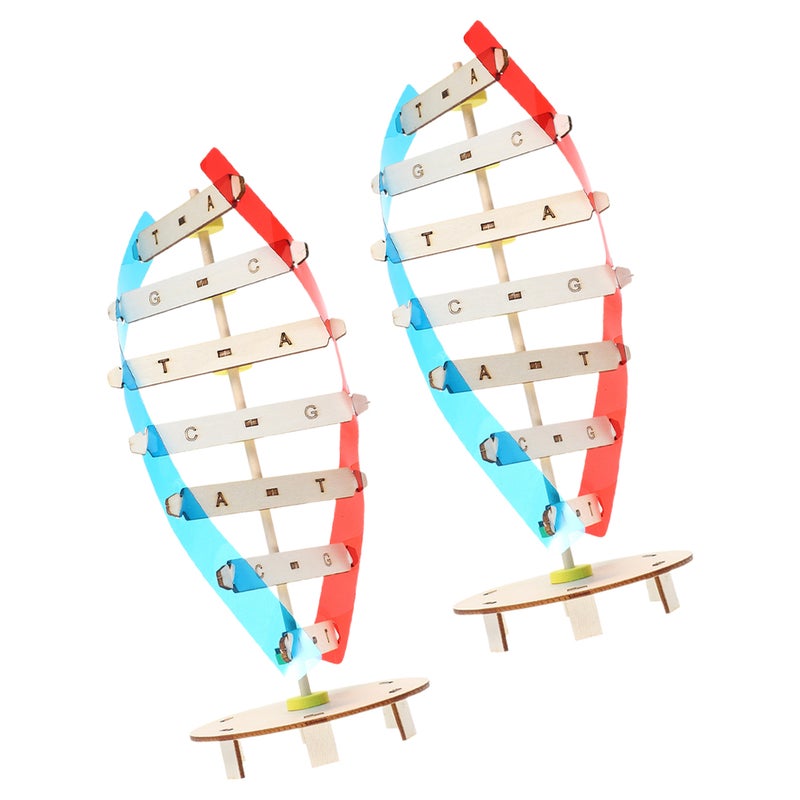 DNA Double Helix Model Kit for Biology Classroom Self-Assembly Science Teaching Toy for School Projects and Life Science Supplies - Image 3