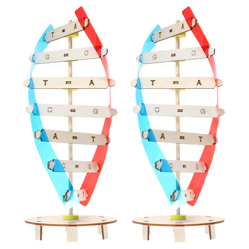 DNA Double Helix Model Kit for Biology Classroom Self-Assembly Science Teaching Toy for School Projects and Life Science Supplies - Image 4