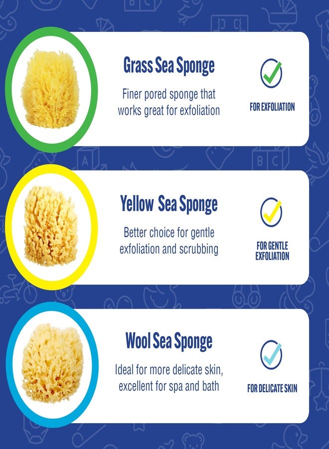 Baby Buddy Natural Wool Sea Sponge, Newborn Bath Time Essential, Ultra Soft for Delicate Skin, Hypoallergenic and Biodegradable, 2 Pack - Image 5