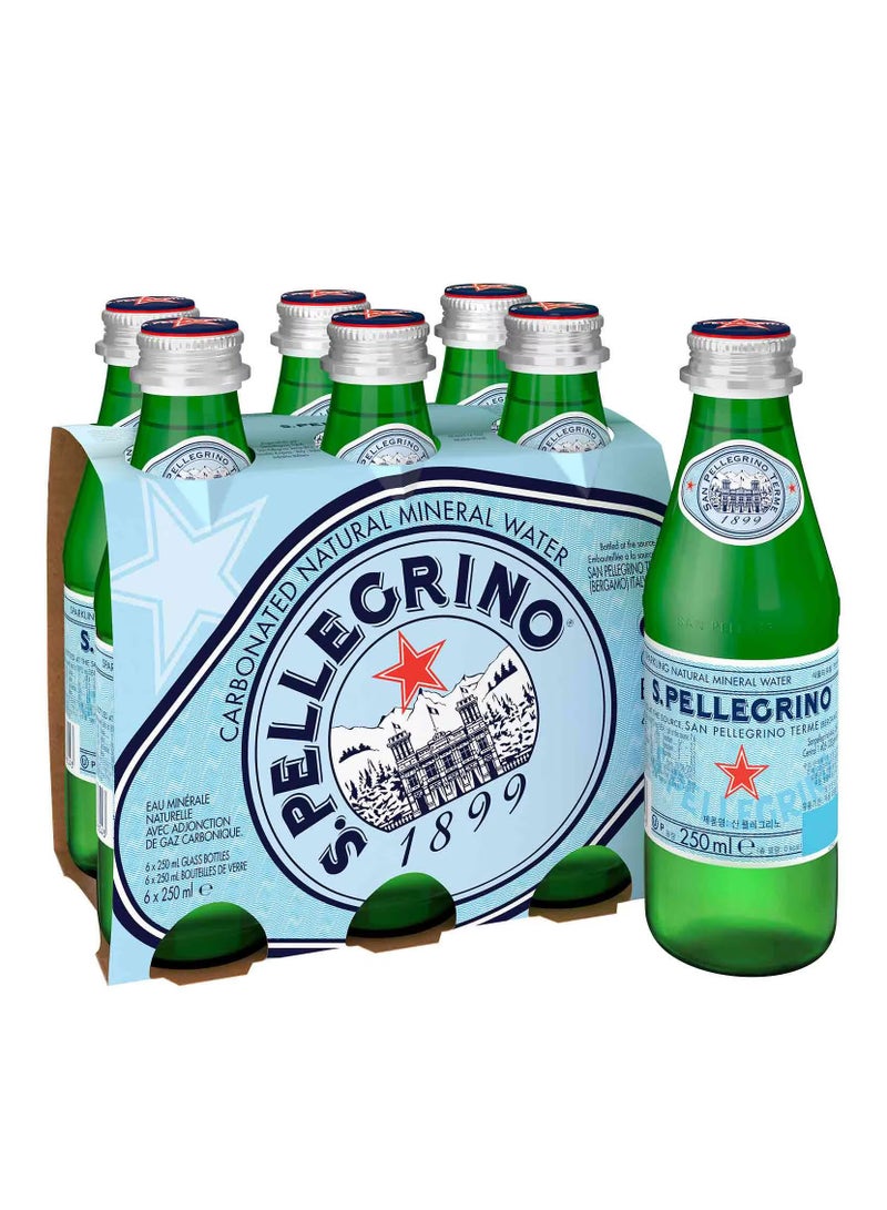 Sanpellegrino Carbonated Natural Mineral Water - Image 1