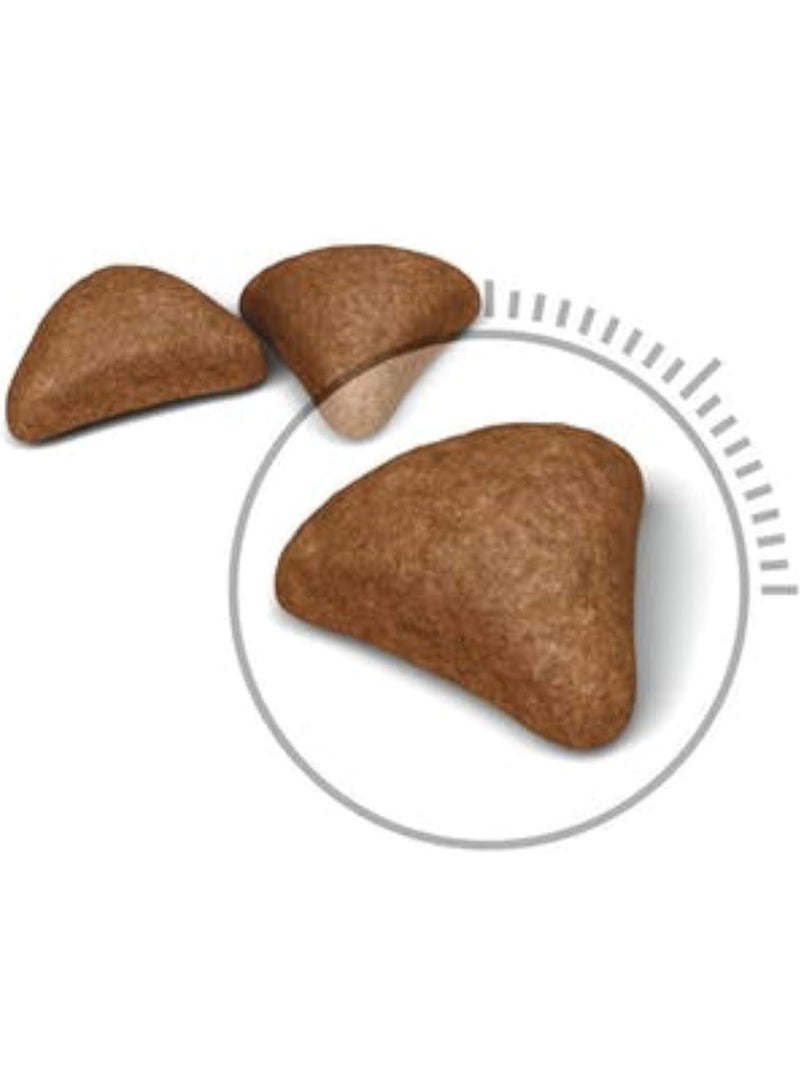 Royal Canin Feline Care Nutrition Hairball Care Cat Dry Food ( Healthy digestive system) 10 Kg From Varmacy - Image 2