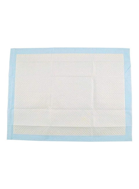 وسادات البول الصحية السميكة لتدريب الكلاب الأليفة، عبوة من 20 قطعة - ‎25.4 x 12.9 x 5.6 سم