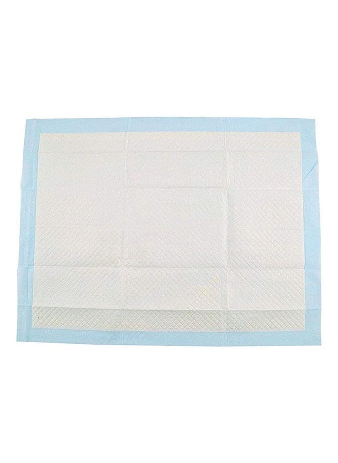 Senior - Healthy Clean Thickening Pet Dog Training Pee Urine Pads Pack Of 20 Pieces - ‎60*90 cm - Image 1