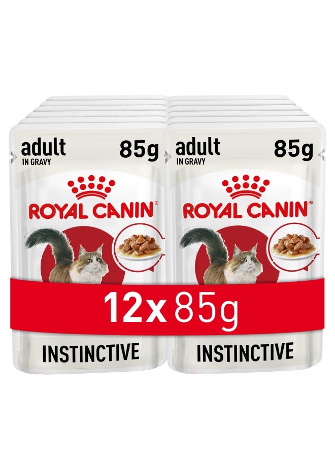 رويال كانين طعام القطط رويال كانين إنستينكتيف للبالغين في المرق 12 × 85 جم - طعام رطب كامل ومتوازن للقطط من عمر 1 إلى 7 سنوات - Image 1