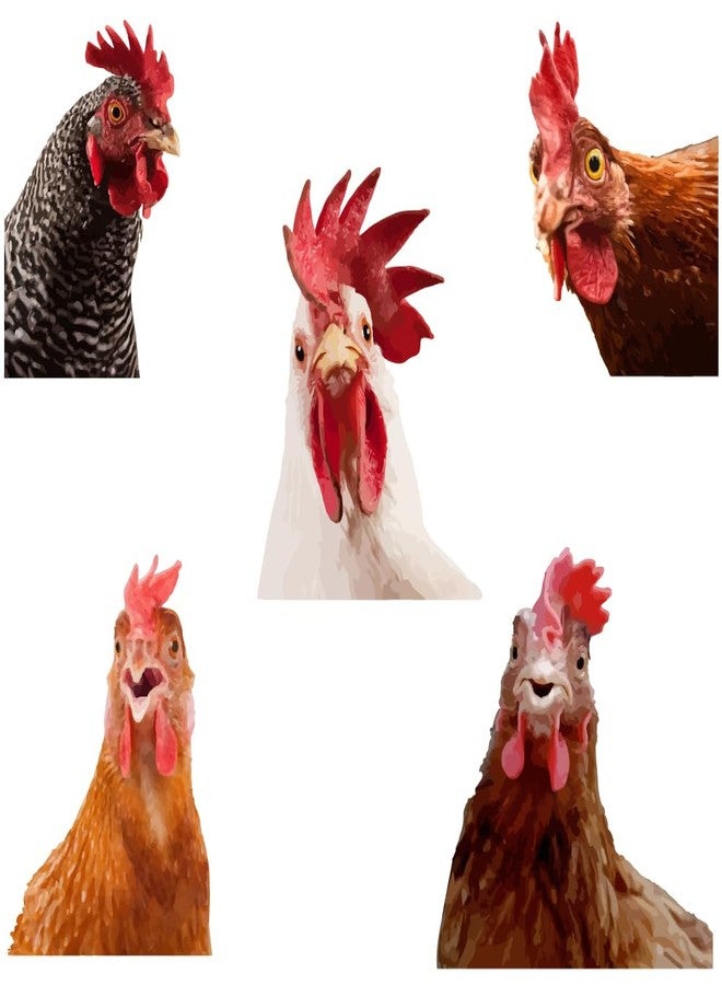 SUPERDANT Funny Rooster Wall Decals Farmhouse Cabinet 5pcs Chicken Wall Stickers Kitchen Outside Chicken Coop Farm Animals Wallpaper Art Realistic Style Peel and Stick Removable Farm Decoration - Image 1