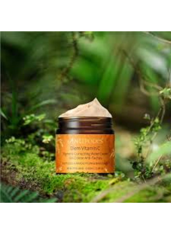 Antipodes Diem Vitamin C Pigment-Correcting Water Cream 60ml - Image 3