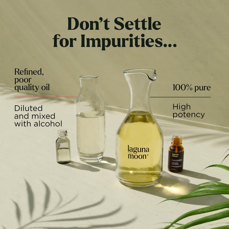 Lagunamoon Essential Oils Set - Top 10 Gift Set Blends for Fragrance, Diffusers, Humidifiers, Aromatherapy, Cars & Home Products, Room Sprays, Candle Making, Yoga - Fragrance Oils for Botanical Fresheners Making - Image 3
