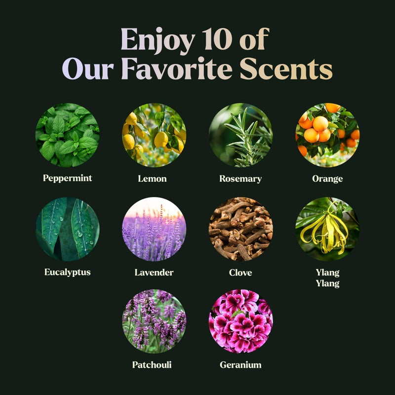 Lagunamoon Essential Oils Set - Top 10 Gift Set Blends for Fragrance, Diffusers, Humidifiers, Aromatherapy, Cars & Home Products, Room Sprays, Candle Making, Yoga - Fragrance Oils for Botanical Fresheners Making - Image 5