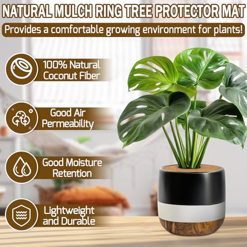 ZeeDix 3 Pack Coconut Fiber Mulch Ring, 11.8 Inch Coco Coir Tree Ring Mulch Mat, 100% Natural Tree Protector Mat Plant Cover Ring Coconut Coir Discs Tree Mats Mulch Rings for Indoor Outdoor Plants - Image 3