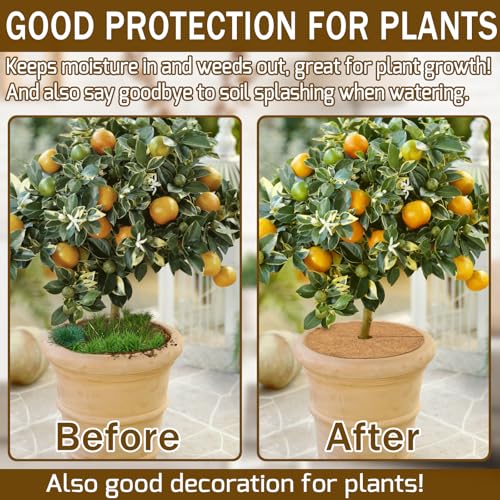 ZeeDix 3 Pack Coconut Fiber Mulch Ring, 11.8 Inch Coco Coir Tree Ring Mulch Mat, 100% Natural Tree Protector Mat Plant Cover Ring Coconut Coir Discs Tree Mats Mulch Rings for Indoor Outdoor Plants - Image 4